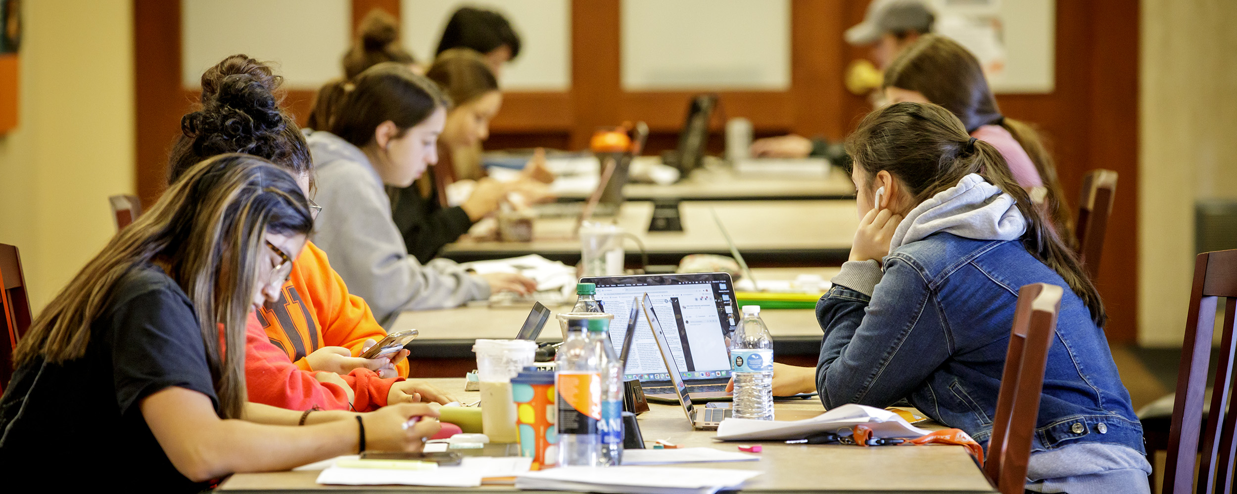 Students studying in the library. 