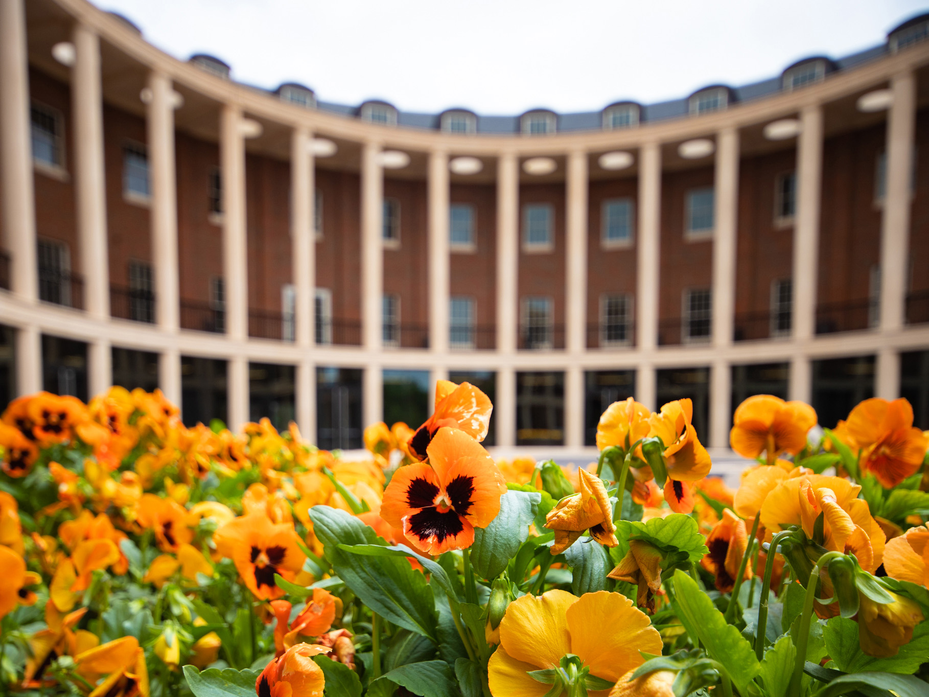 Spears building with orange flowers in front of it.