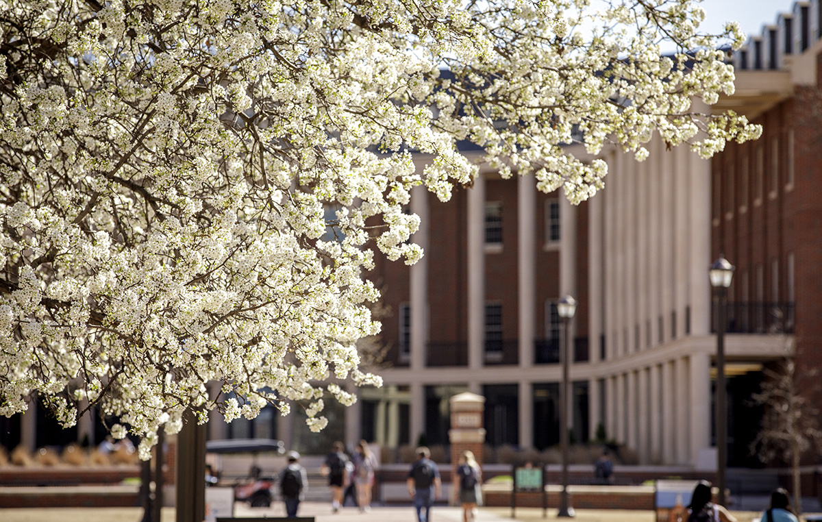 Business Building