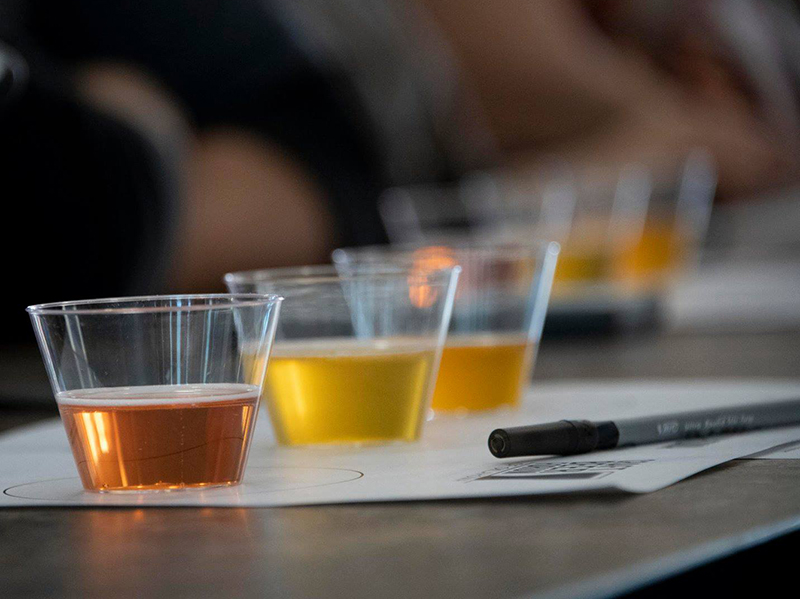 beer testers beer testers